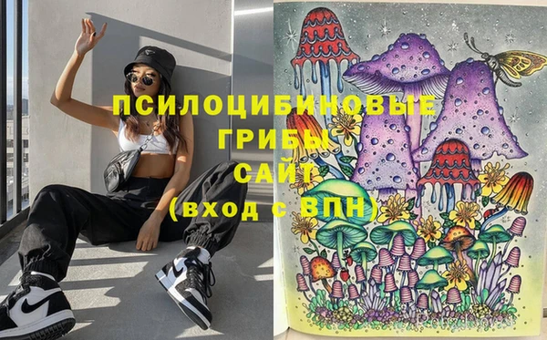 гидропоника Медногорск