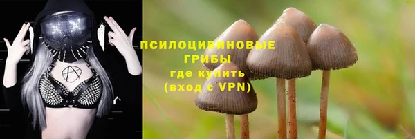 гидропоника Медногорск