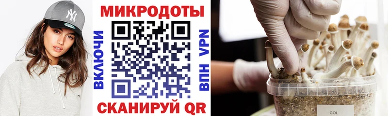 Купить Смоленск Галлюциногенные грибы Psilocybe